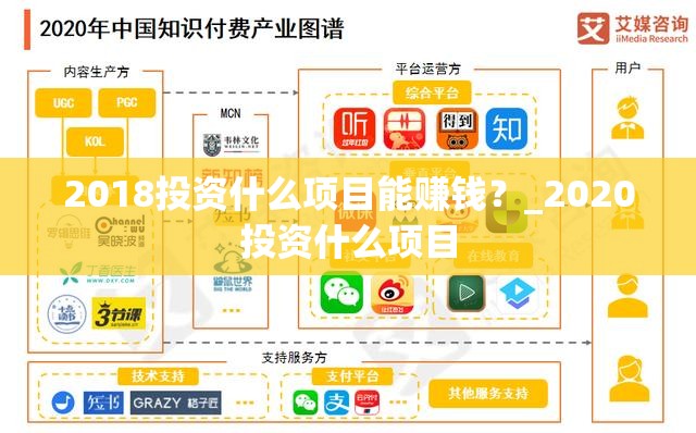 2018投资什么项目能赚钱？_2020投资什么项目