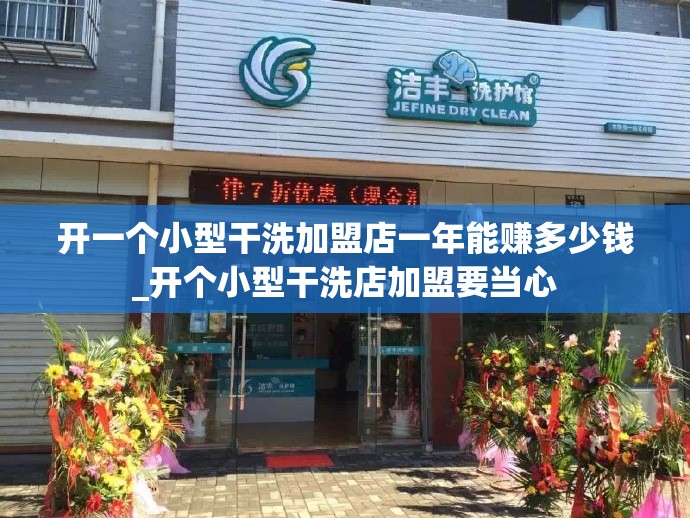 开一个小型干洗加盟店一年能赚多少钱_开个小型干洗店加盟要当心