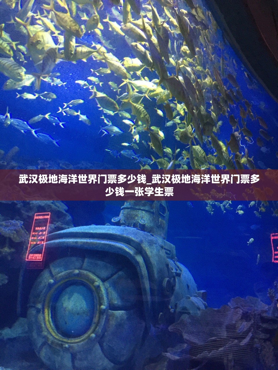 武汉极地海洋世界门票多少钱_武汉极地海洋世界门票多少钱一张学生票