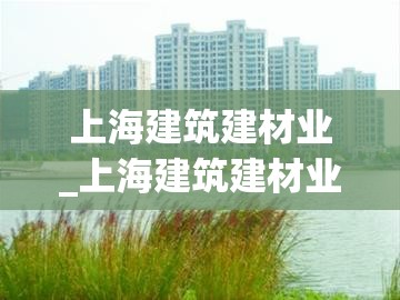 上海建筑建材业_上海建筑建材业官网没有了