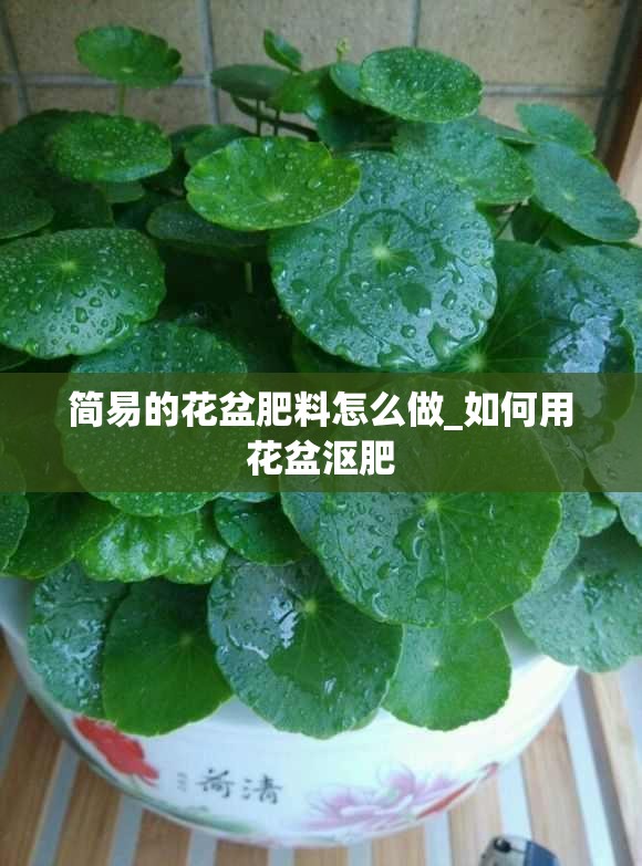 简易的花盆肥料怎么做_如何用花盆沤肥