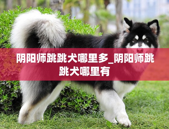 阴阳师跳跳犬哪里多_阴阳师跳跳犬哪里有