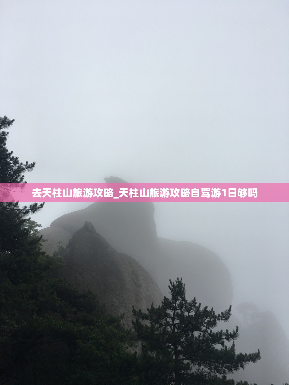 去天柱山旅游攻略_天柱山旅游攻略自驾游1日够吗