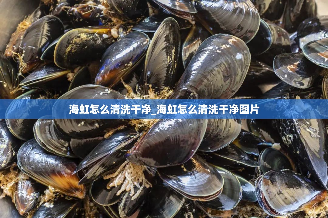 海虹怎么清洗干净_海虹怎么清洗干净图片