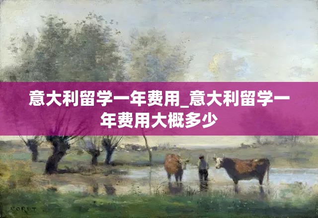 意大利留学一年费用_意大利留学一年费用大概多少