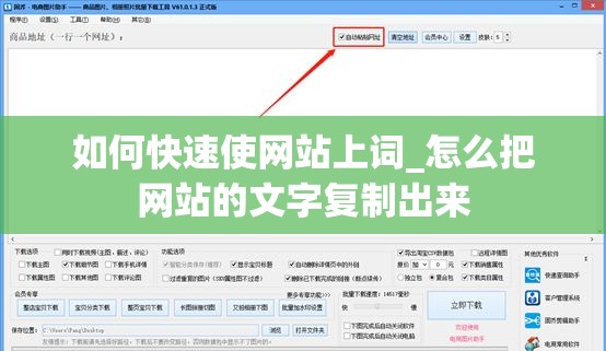 如何快速使网站上词_怎么把网站的文字复制出来