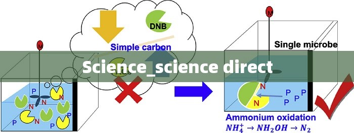 Science_science direct