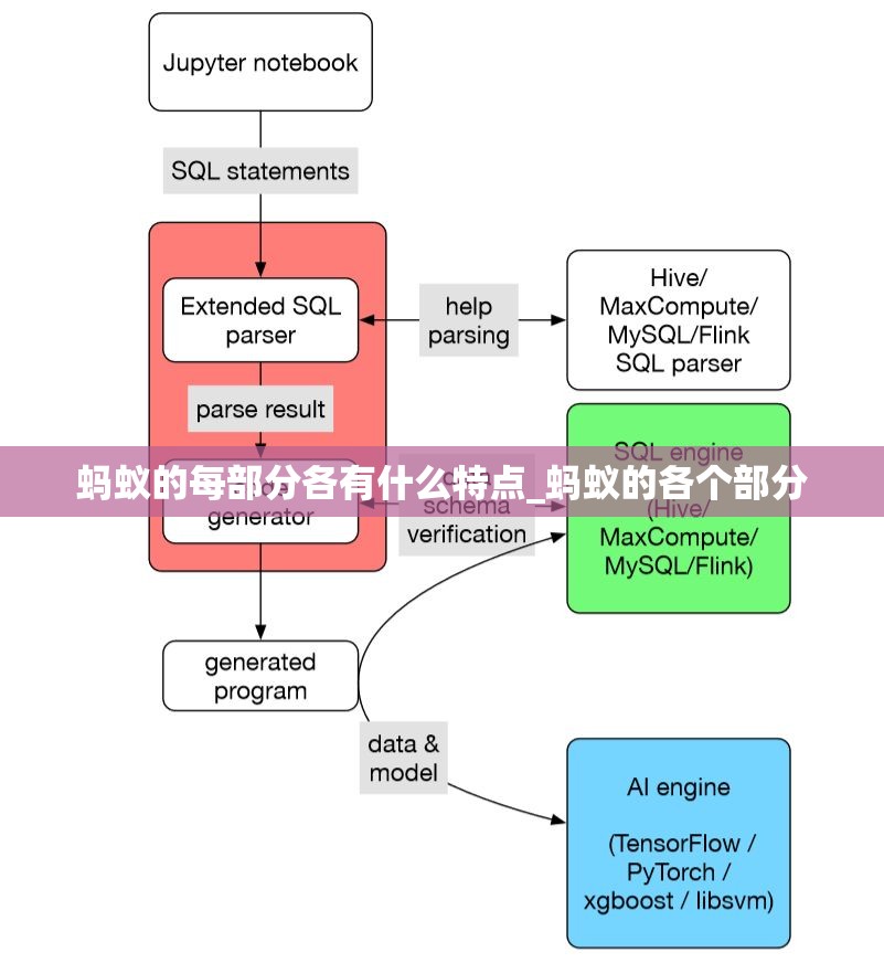 蚂蚁的每部分各有什么特点_蚂蚁的各个部分