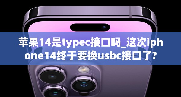 苹果14是typec接口吗_这次iphone14终于要换usbc接口了?