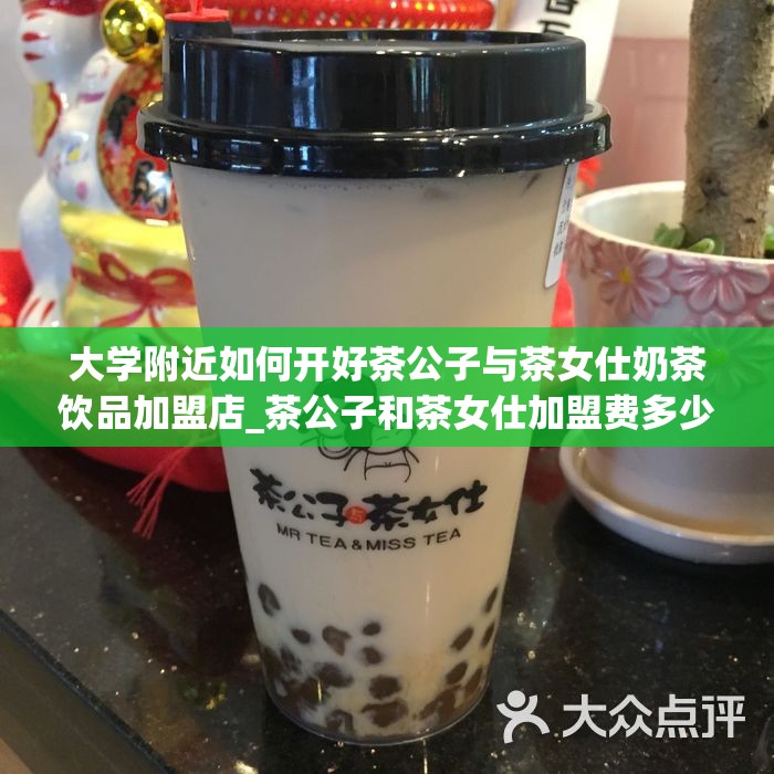 大学附近如何开好茶公子与茶女仕奶茶饮品加盟店_茶公子和茶女仕加盟费多少