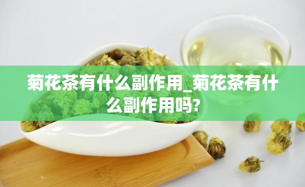 菊花茶有什么副作用_菊花茶有什么副作用吗?