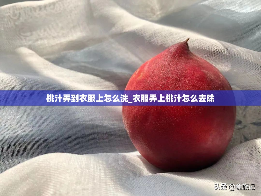 桃汁弄到衣服上怎么洗_衣服弄上桃汁怎么去除