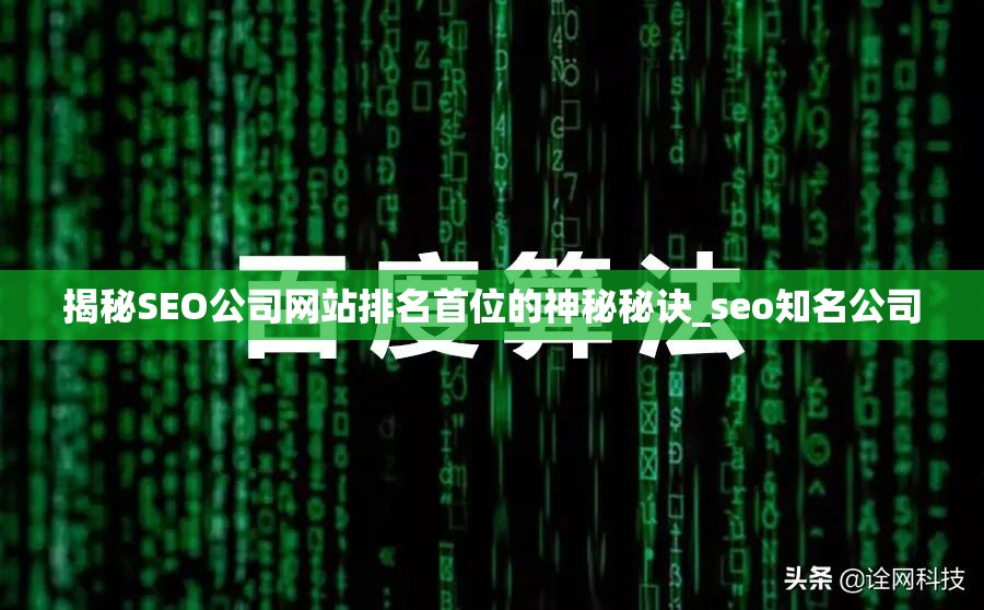 揭秘SEO公司网站排名首位的神秘秘诀_seo知名公司