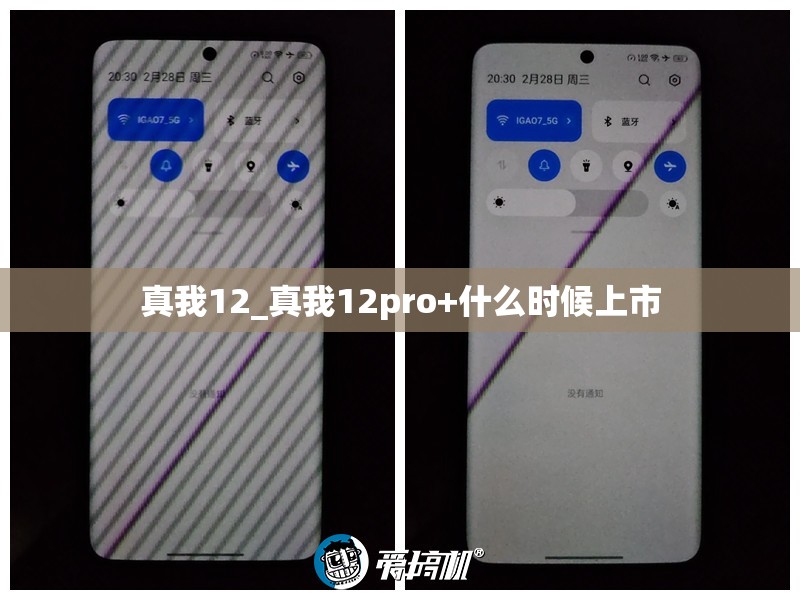 真我12_真我12pro+什么时候上市