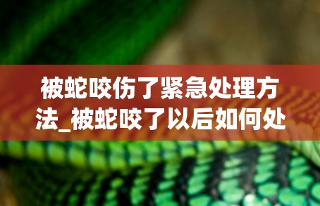 被蛇咬伤了紧急处理方法_被蛇咬了以后如何处理