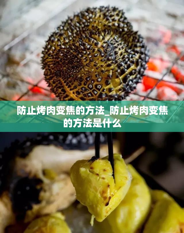 防止烤肉变焦的方法_防止烤肉变焦的方法是什么