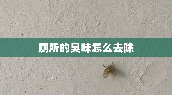 厕所的臭味怎么去除