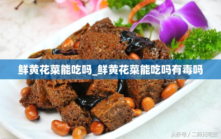 鲜黄花菜能吃吗_鲜黄花菜能吃吗有毒吗