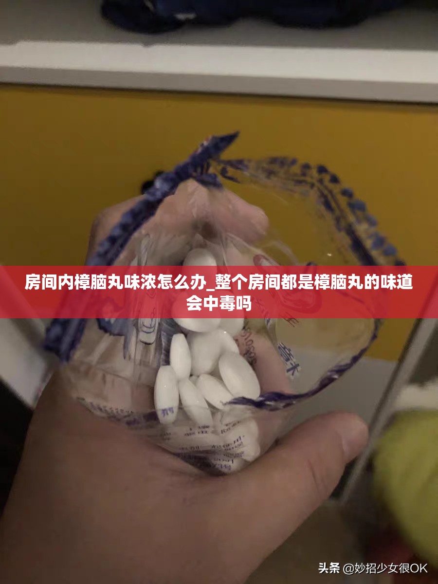 房间内樟脑丸味浓怎么办_整个房间都是樟脑丸的味道会中毒吗