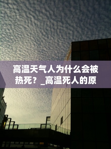 高温天气人为什么会被热死？_高温死人的原因