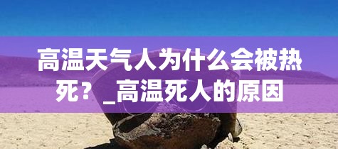 高温天气人为什么会被热死？_高温死人的原因