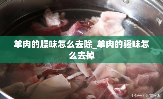 羊肉的臊味怎么去除_羊肉的骚味怎么去掉