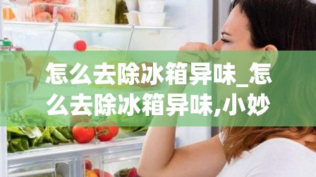 怎么去除冰箱异味_怎么去除冰箱异味,小妙招房间的