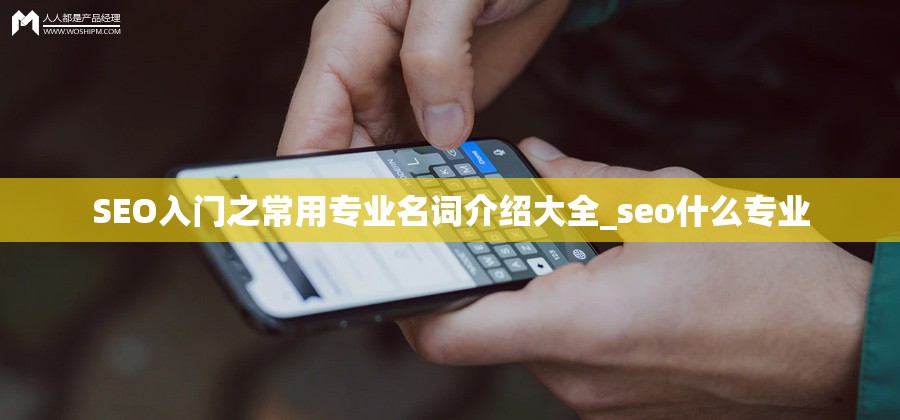 SEO入门之常用专业名词介绍大全_seo什么专业