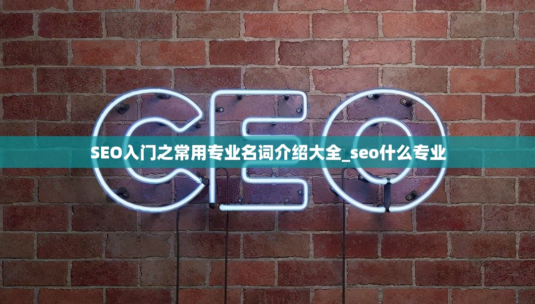 SEO入门之常用专业名词介绍大全_seo什么专业