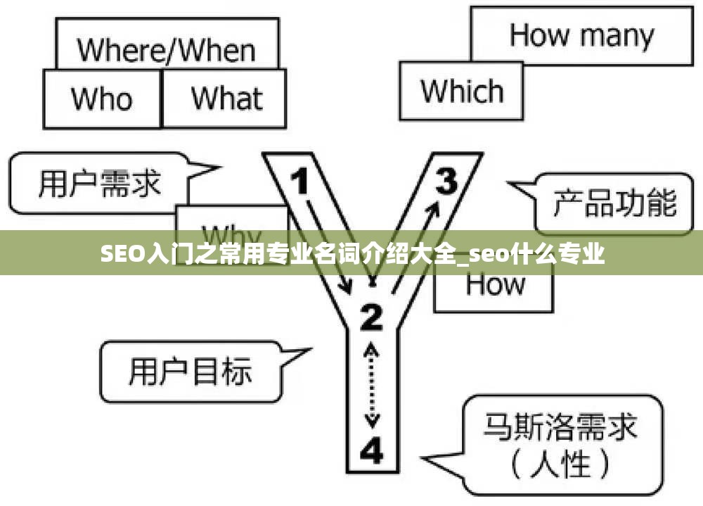 SEO入门之常用专业名词介绍大全_seo什么专业