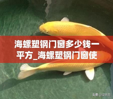 海螺塑钢门窗多少钱一平方_海螺塑钢门窗使用寿命