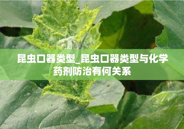 昆虫口器类型_昆虫口器类型与化学药剂防治有何关系