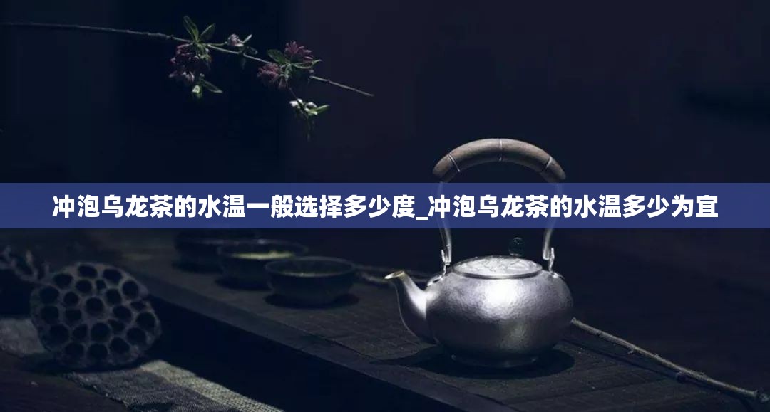 冲泡乌龙茶的水温一般选择多少度_冲泡乌龙茶的水温多少为宜