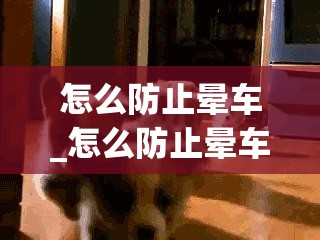 怎么防止晕车_怎么防止晕车小妙招