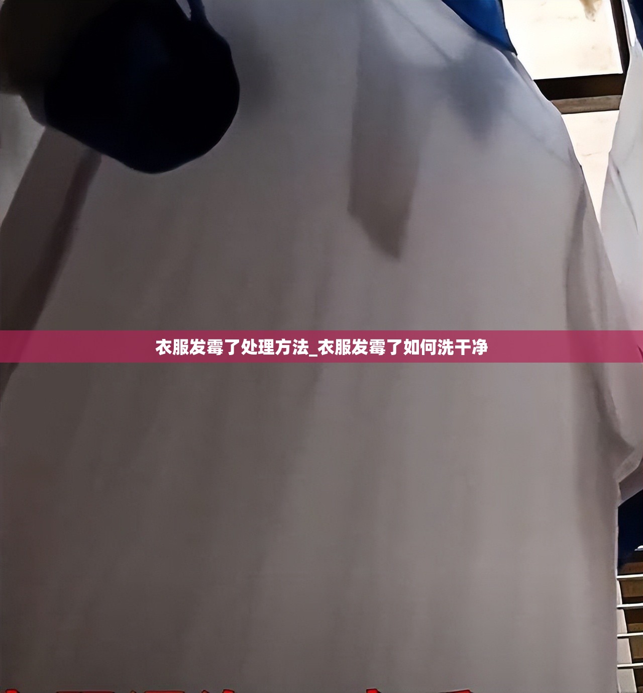 衣服发霉了处理方法_衣服发霉了如何洗干净