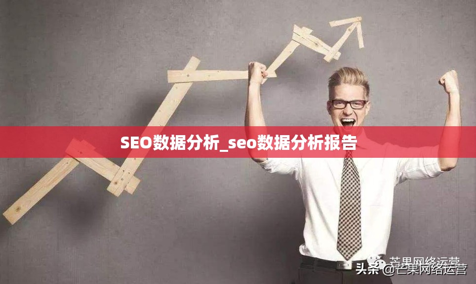 SEO数据分析_seo数据分析报告