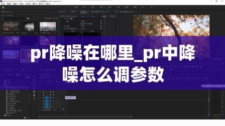 pr降噪在哪里_pr中降噪怎么调参数
