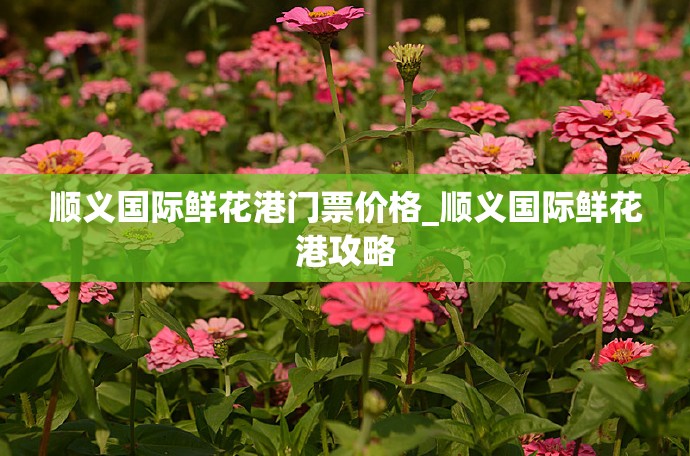 顺义国际鲜花港门票价格_顺义国际鲜花港攻略