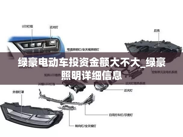 绿豪电动车投资金额大不大_绿豪照明详细信息