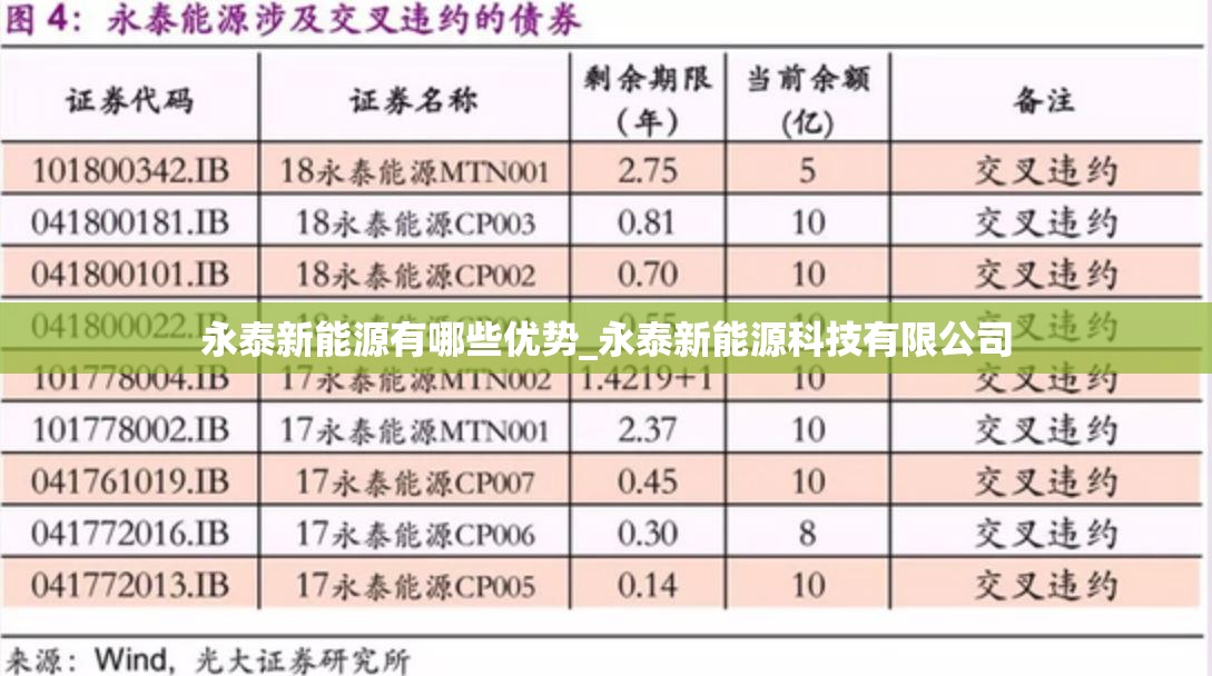 永泰新能源有哪些优势_永泰新能源科技有限公司