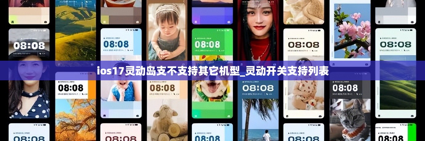 ios17灵动岛支不支持其它机型_灵动开关支持列表