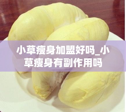 小草瘦身加盟好吗_小草瘦身有副作用吗