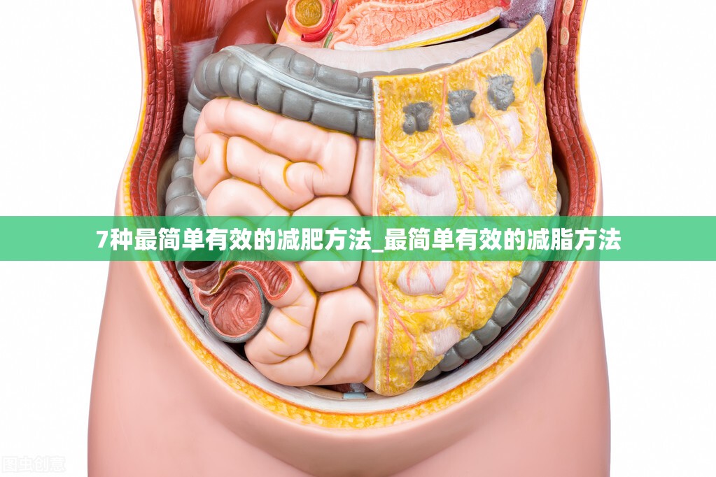 7种最简单有效的减肥方法_最简单有效的减脂方法