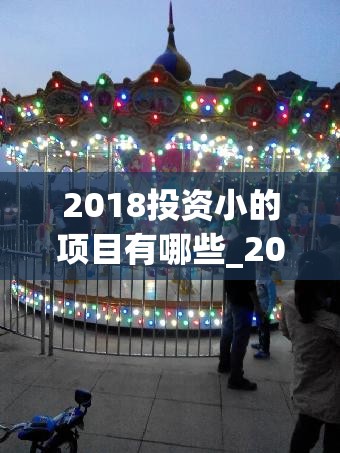 2018投资小的项目有哪些_2018小投资赚钱项目