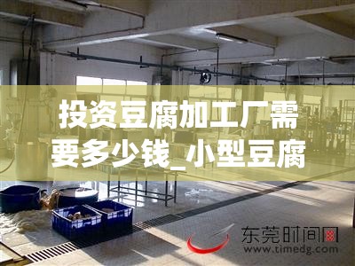 投资豆腐加工厂需要多少钱_小型豆腐厂投资多少钱