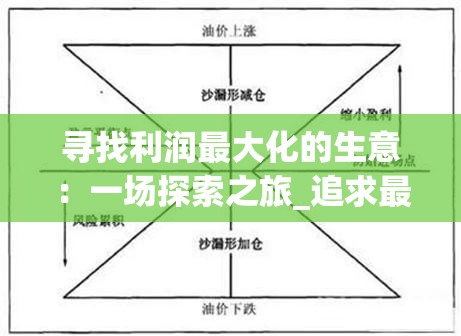 寻找利润最大化的生意：一场探索之旅_追求最大利润