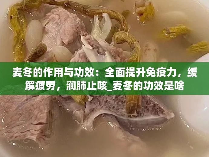 麦冬的作用与功效：全面提升免疫力，缓解疲劳，润肺止咳_麦冬的功效是啥