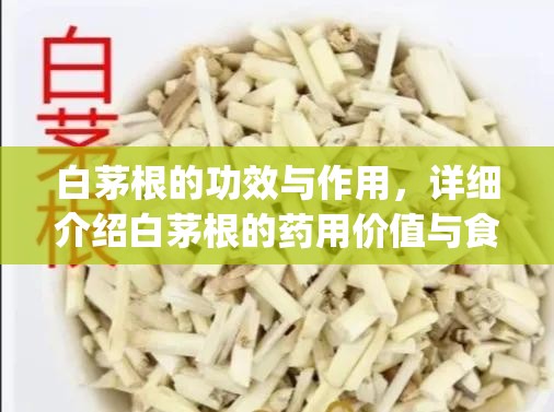 白茅根的功效与作用，详细介绍白茅根的药用价值与食用方法_白茅根的功效和作用及禁忌