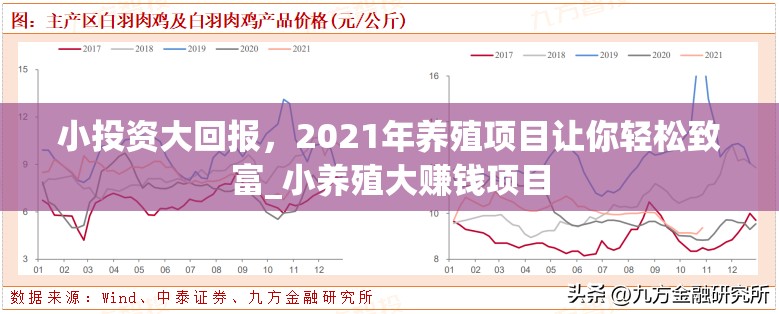 小投资大回报，2021年养殖项目让你轻松致富_小养殖大赚钱项目