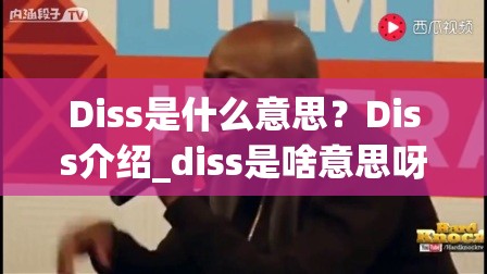 Diss是什么意思？Diss介绍_diss是啥意思呀